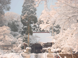 冬の神社